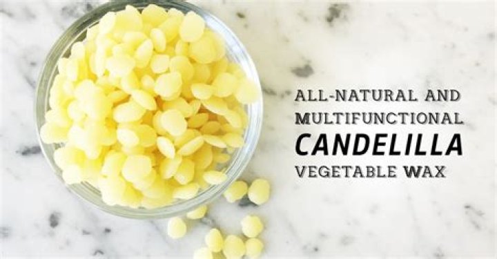 Is candelilla wax edible?