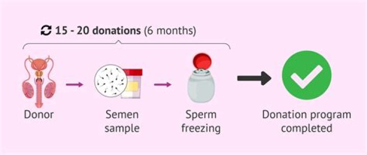 Is donor sperm safe?