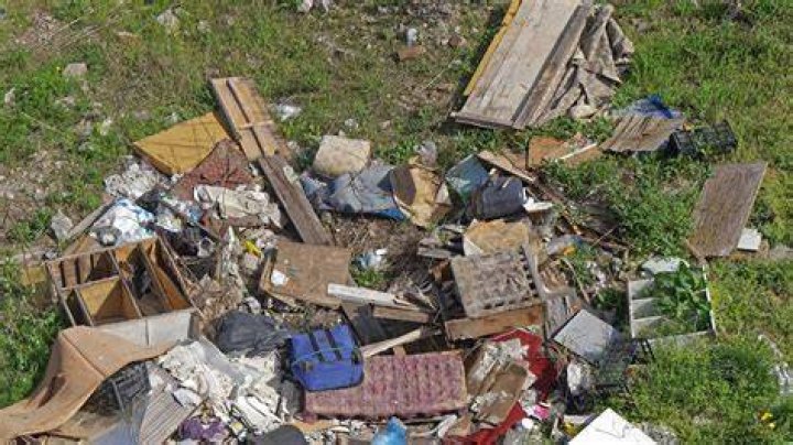Is dumping yard waste illegal?