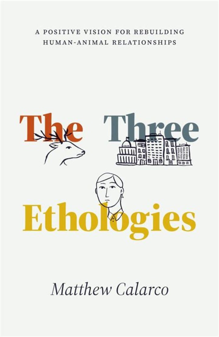 Is ethologies a word?