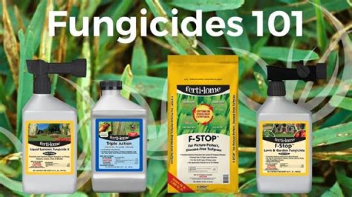 Is fungicide safe for pets?