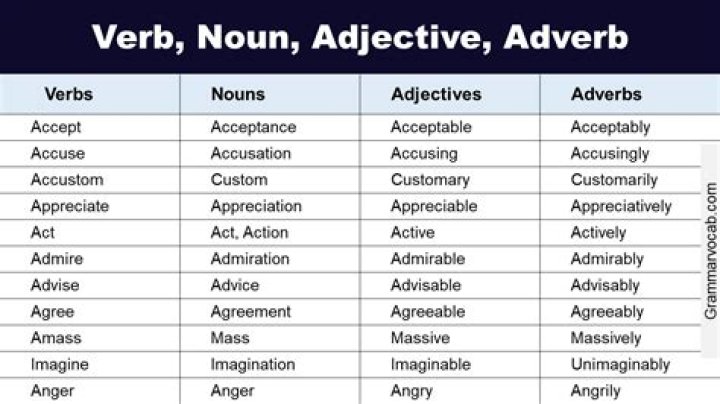 Is ignoramus noun or adjective?
