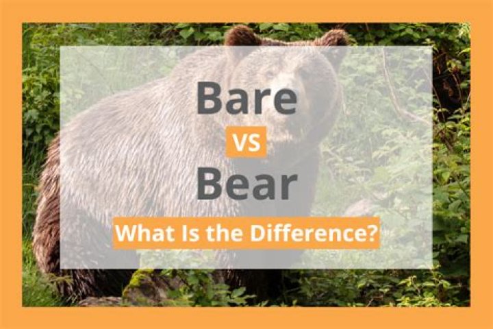 Is it bare or bear a resemblance?
