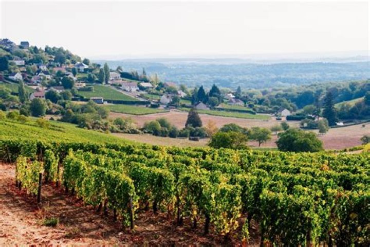 Is loire wine sweet?