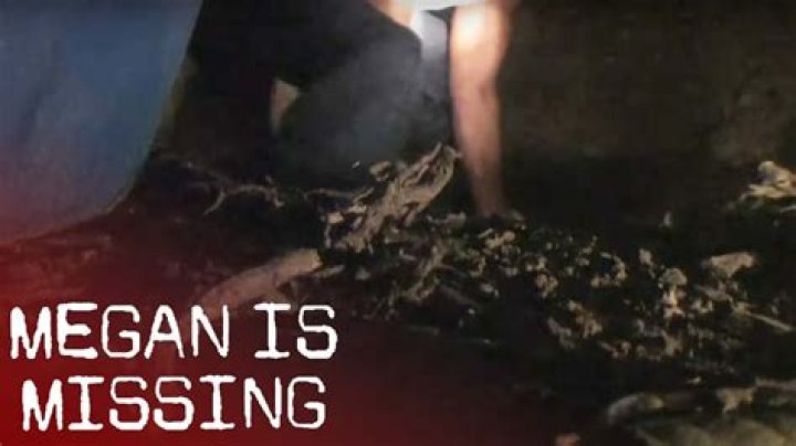 Is megan missing a true story?