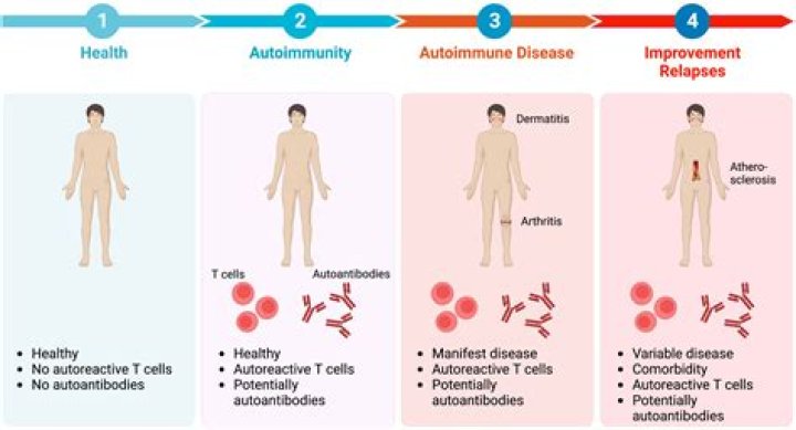 Is necrobiosis lipoidica an autoimmune disease?