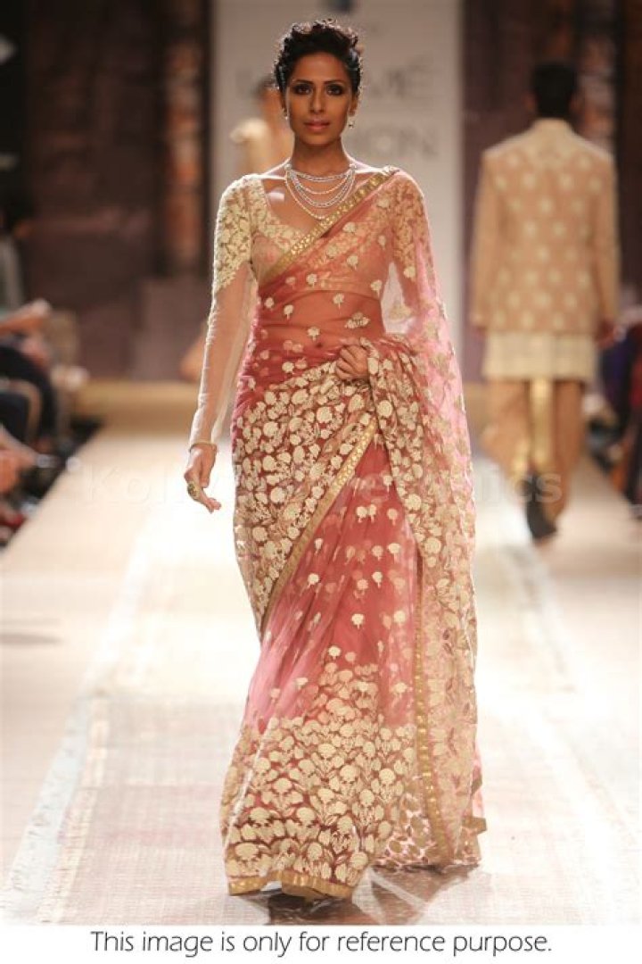 Is net saree in fashion?