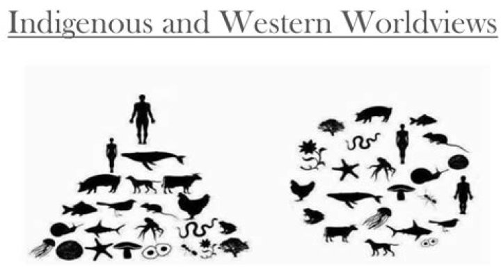 Is non indigenous a word?
