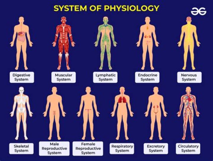 Is physiology a physical science?