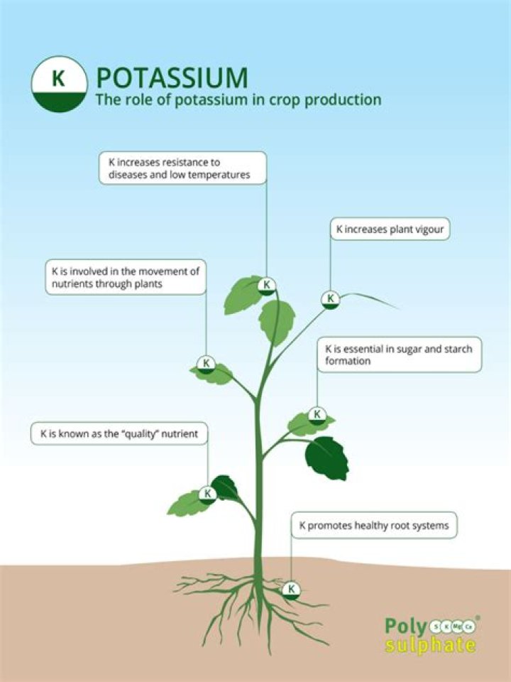 Is potassium water soluble?