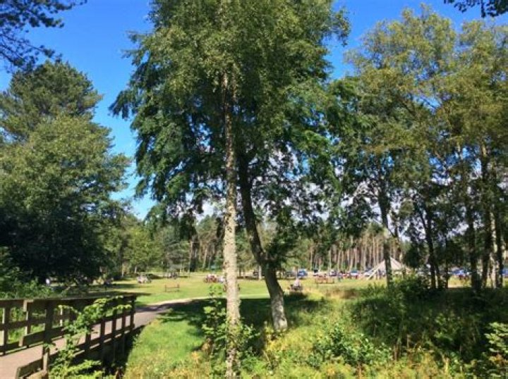 Is tentsmuir forest open today?