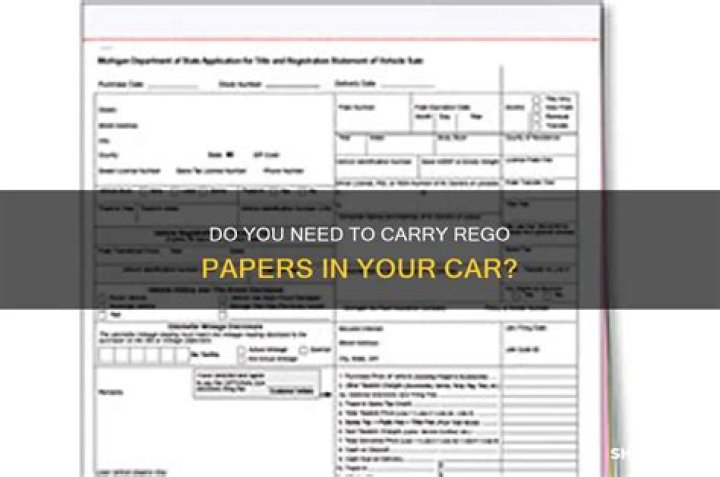 Should i keep rego papers in my car?