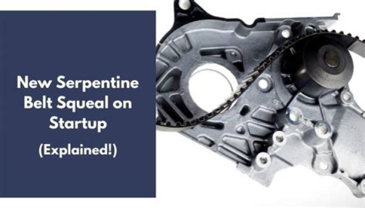 Should new serpentine belt squeal?
