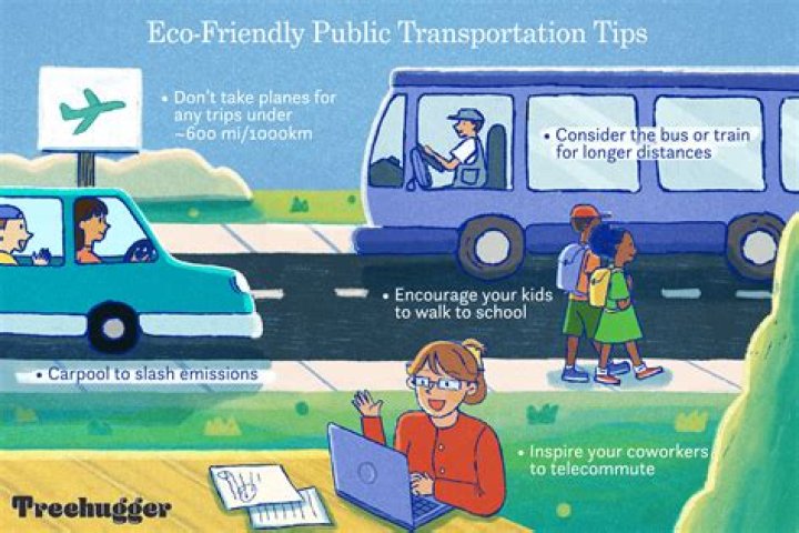 Should public transport be privatised?