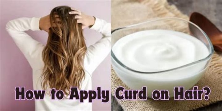 Should we shampoo after applying curd?