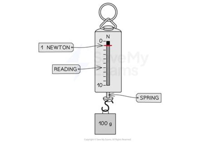 Should weight be measured in newtons?