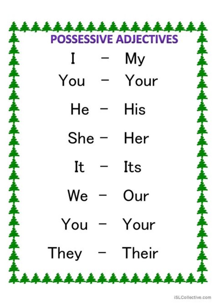 Was sind possessive adjectives?