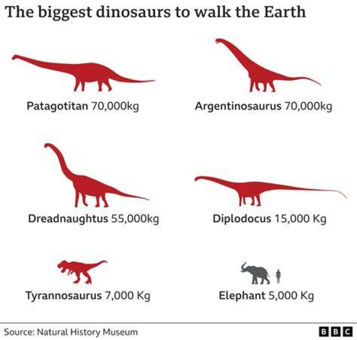 Were dinosaurs too big?
