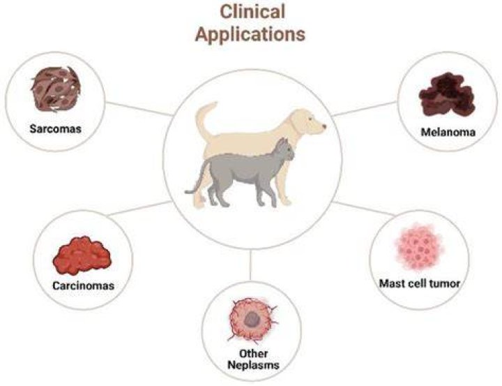 What causes carcinomas in dogs?