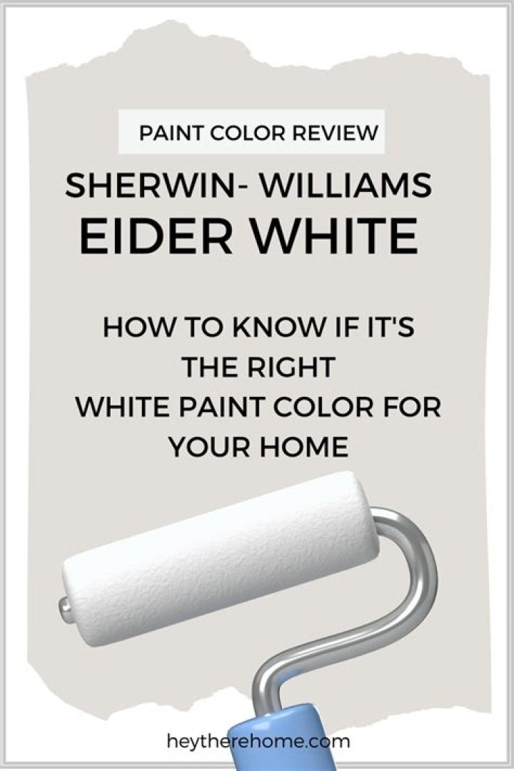 What color is eider white?