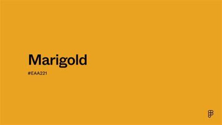 What color is marigold?