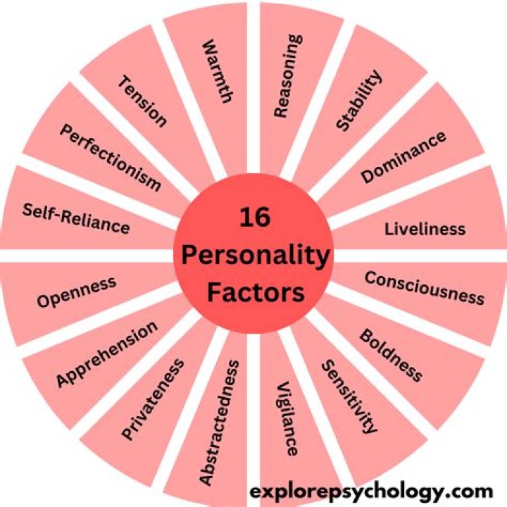 What comprises an individual's personality?