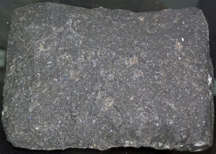 What does equigranular mean?
