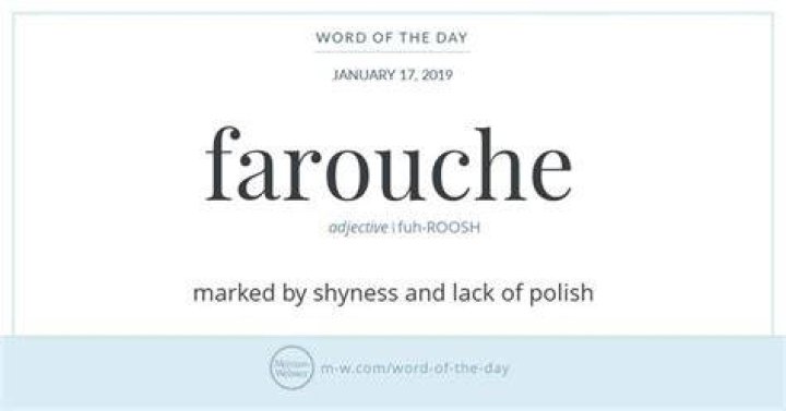 What does farouche in french mean?