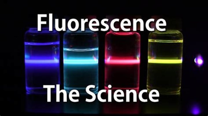 What does fluorescent mean?