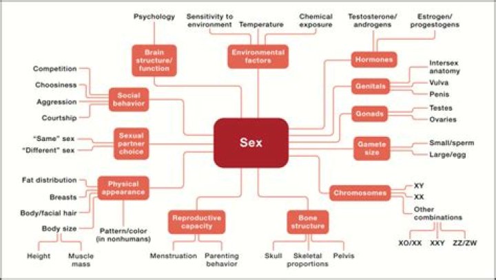 What does sexological mean?