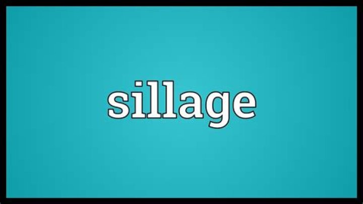 What does sillage mean?