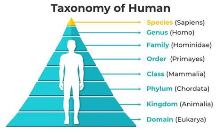 What does the genus tell you?