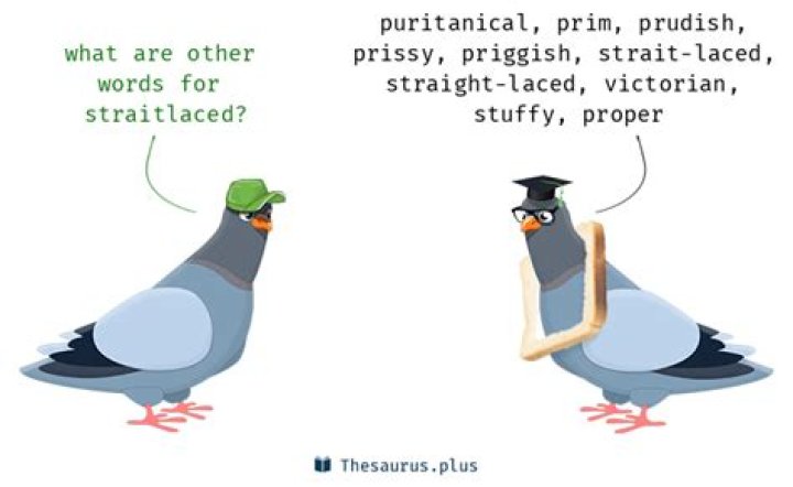 What is a word for straitlaced?