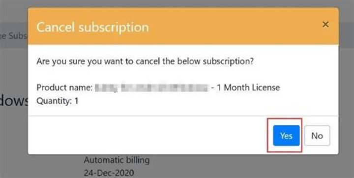 What is an unallowed loss on schedule e?