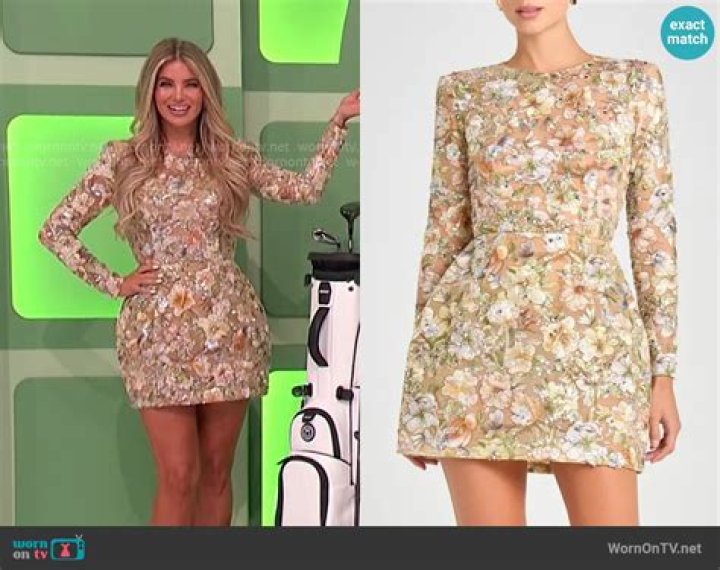 What is considered mini dress?