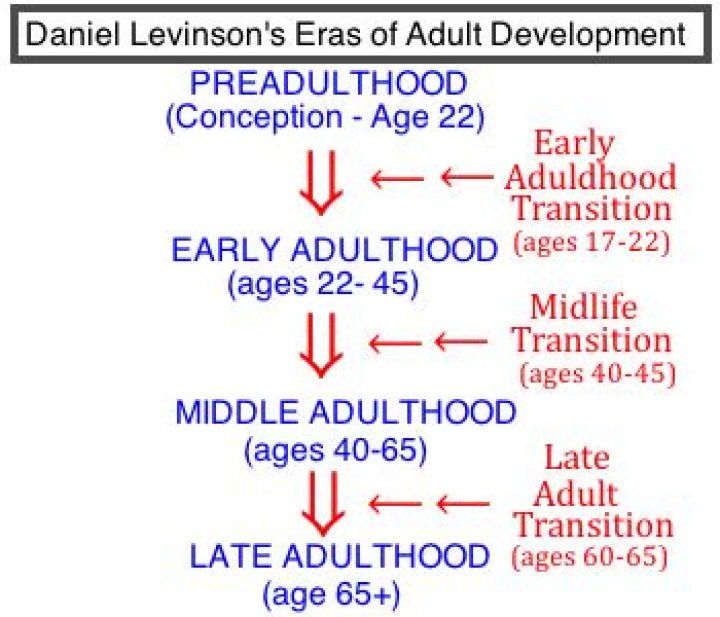 What is daniel levinson theory?