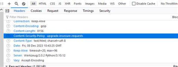 What is header upgrade-insecure-requests?