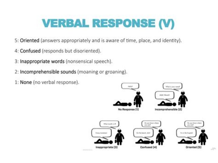 What is incomprehensive in english?