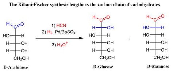What is kiliani fischer synthesis?