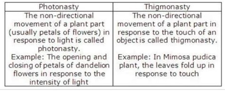 What is photonasty in biology?