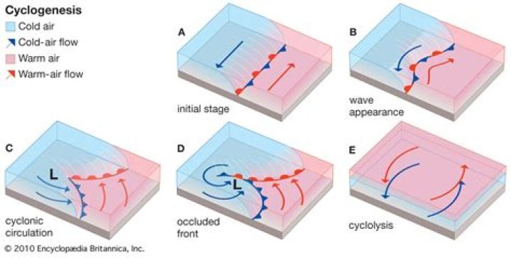 What is the meaning of cyclosis?