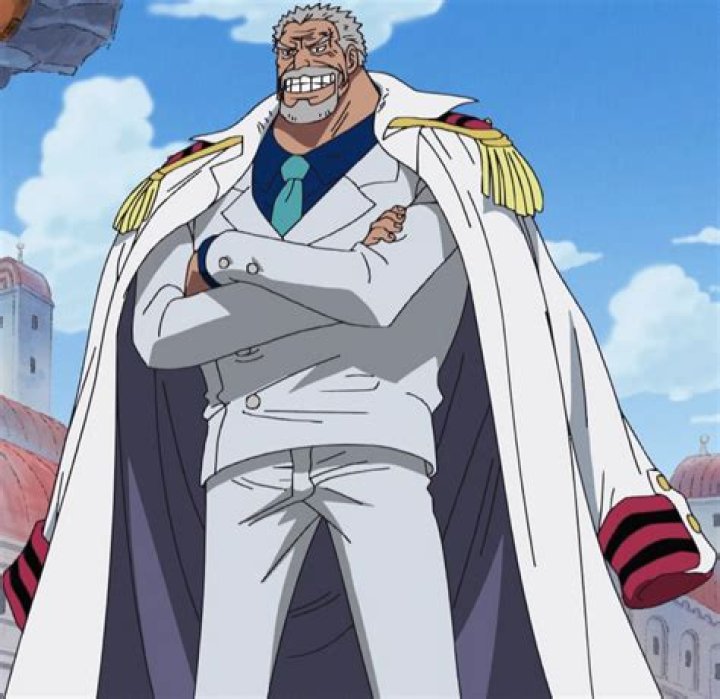 What is vice admiral?