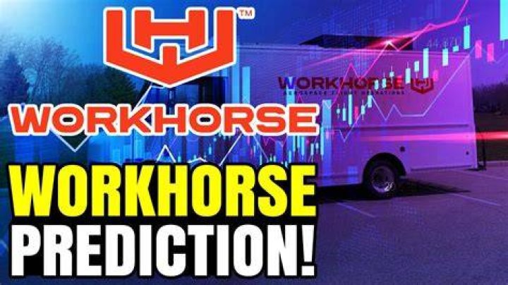 What is workhorse stock?
