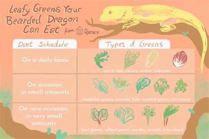 What leafy greens can bearded dragons eat?
