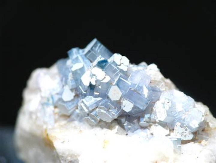 What makes up fluorapatite?