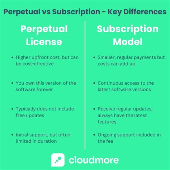 What perpetual license means?