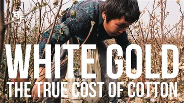 What was cotton called white gold?