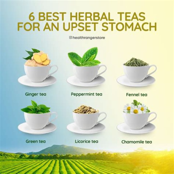 Whats a good tea for stomach ache?