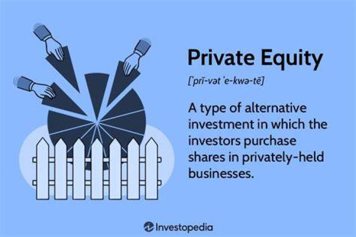 Whats a private investor?