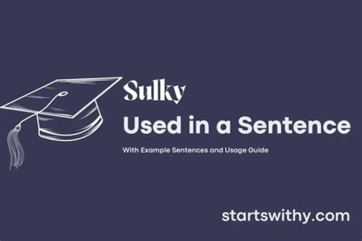 Whats a sentence for sulky?